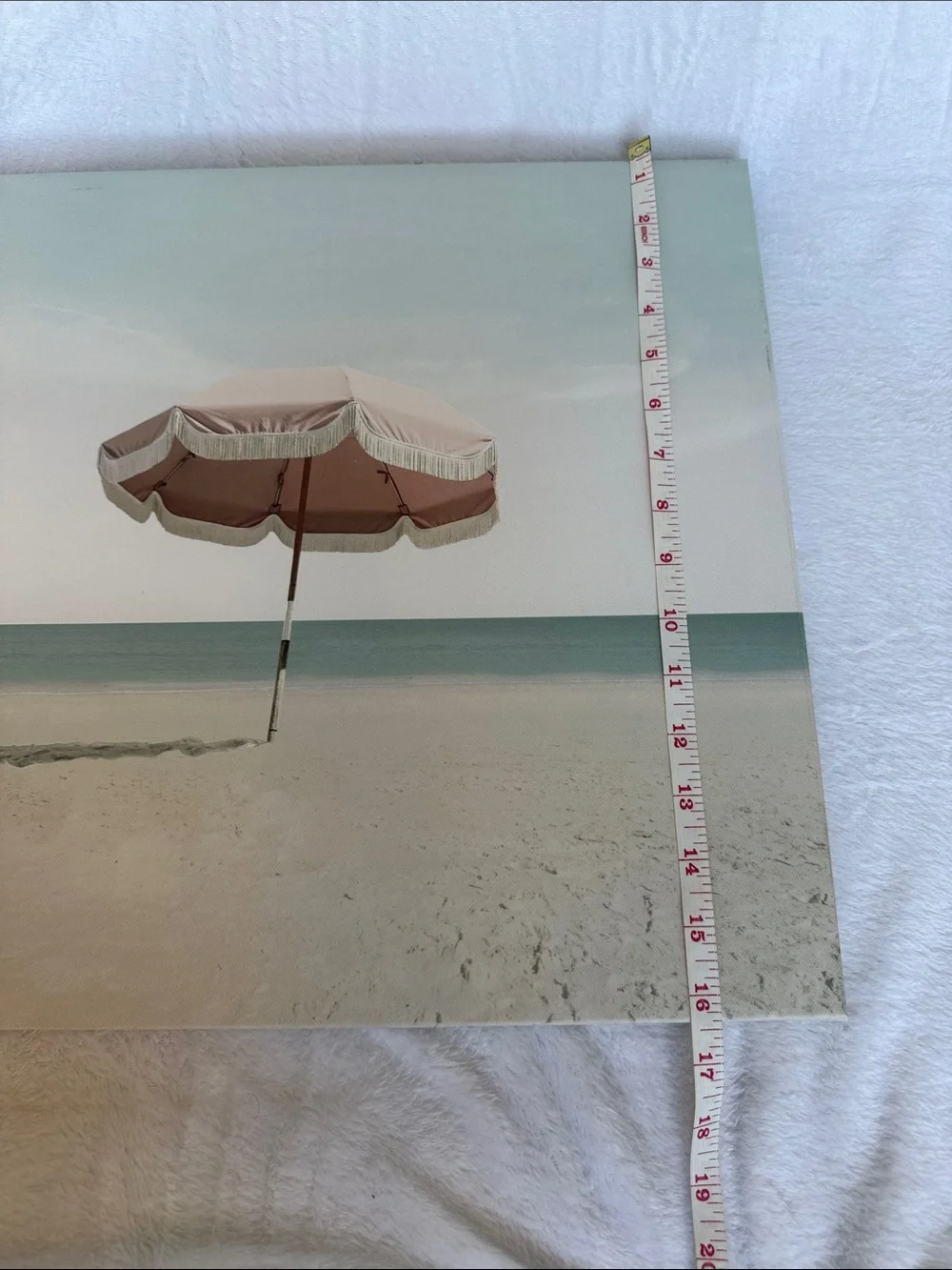 Pink Umbrella Canvas Picture